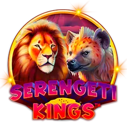 bet79 b 1 bet cassino jogos grátis